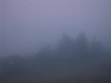 06 : 37