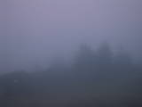 06 : 41