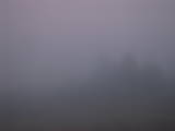 07 : 49