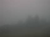 08 : 09