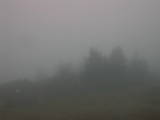 08 : 15