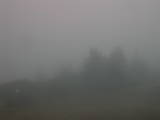 08 : 17
