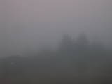 08 : 19