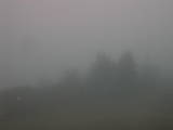 08 : 31