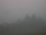 08 : 49