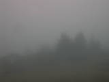 09 : 01