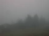 09 : 05