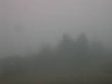 09 : 49