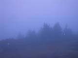 06 : 05