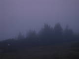 06 : 17