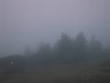 06 : 29