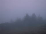 06 : 33