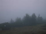 06 : 41