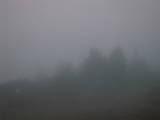 06 : 49
