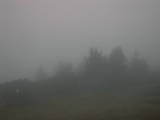 07 : 29