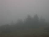 07 : 39