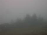 07 : 41