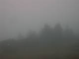 07 : 49