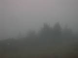 07 : 59