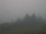 08 : 01