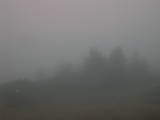 08 : 03