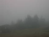08 : 15