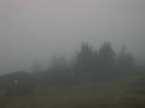 08 : 17