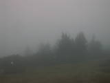 08 : 19