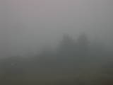 08 : 21