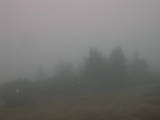 08 : 29