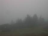 08 : 31