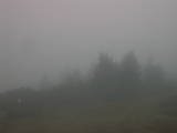 08 : 33