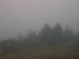 08 : 35