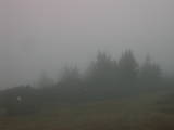 08 : 45