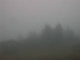 09 : 17