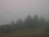 09 : 29