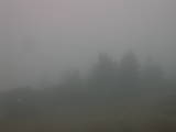 09 : 41