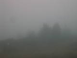 09 : 49