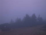 06 : 49