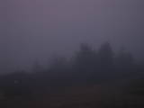 07 : 03