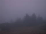 07 : 05