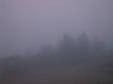 07 : 11