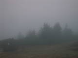07 : 41