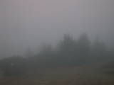 07 : 49