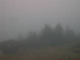 08 : 13
