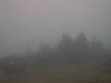 08 : 15