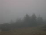 08 : 17