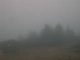 08 : 19