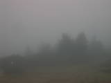 08 : 29