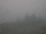 09 : 17